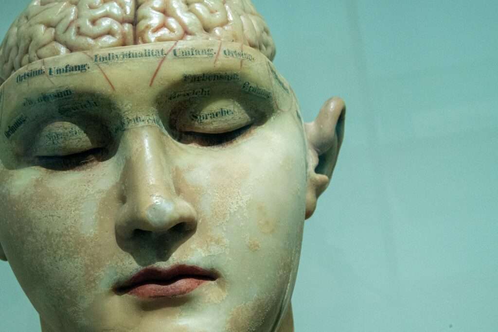 simple b2b content marketing statue of man with brain exposed.
